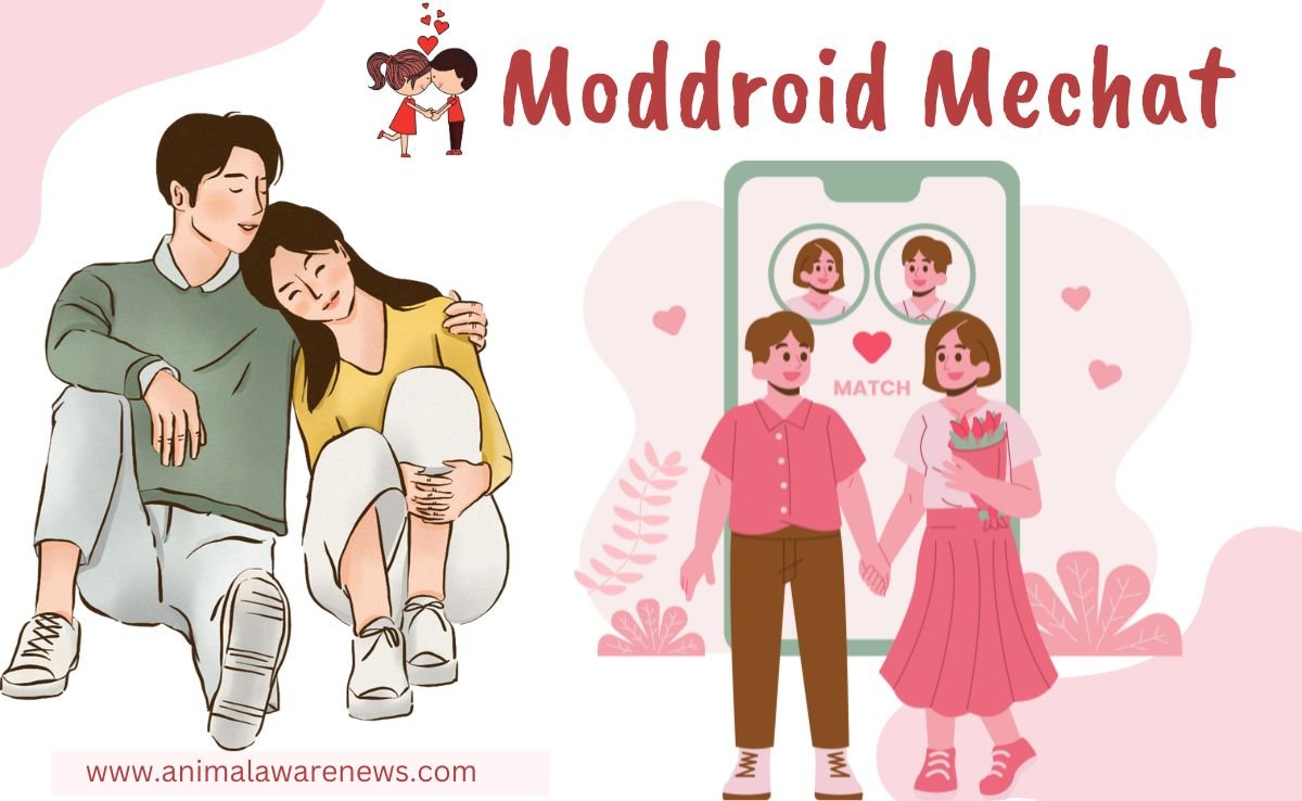 Moddroid MeChat: Unleash a Vibrant Entertainment