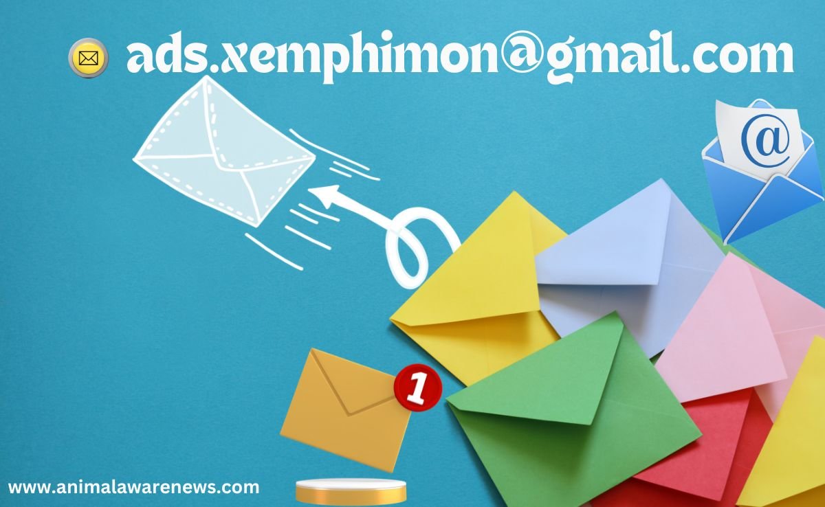Ads.xemphimon@gmail.com – The Confluence of Technology and Magic